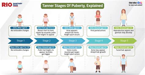 boobs teens|Stages of Puberty Explained in Pictures